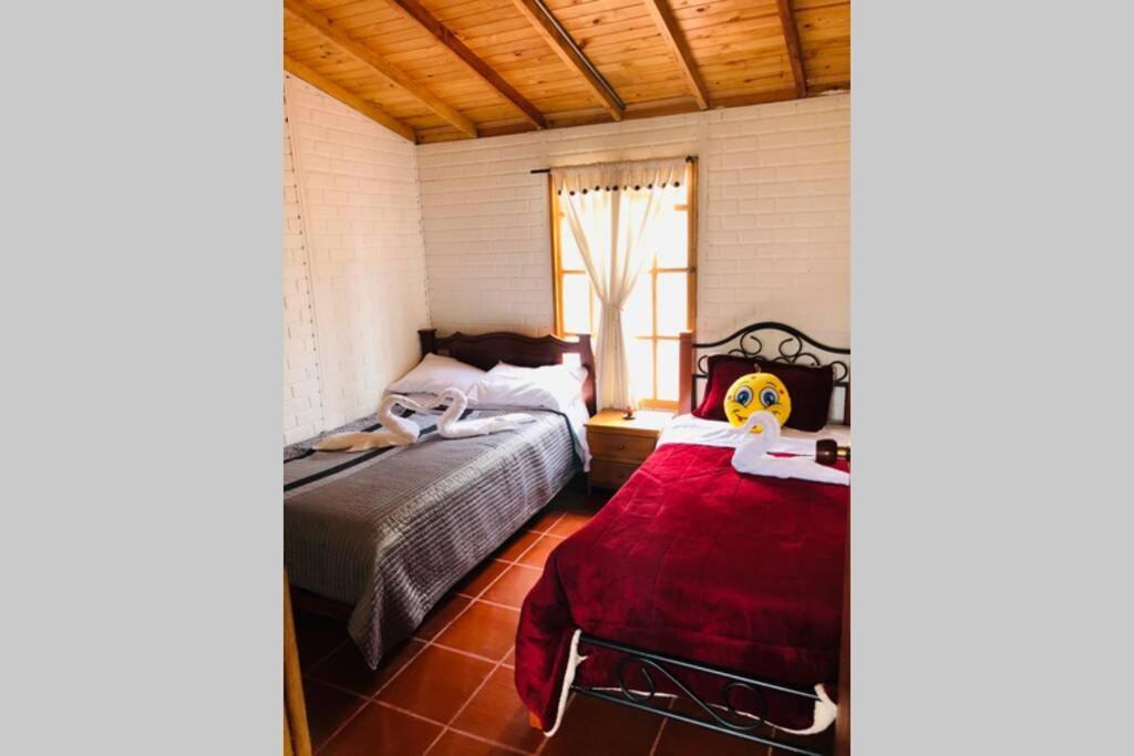 Cabana Buenavista Es Un Lugar Para Descansar. Iza Exteriör bild