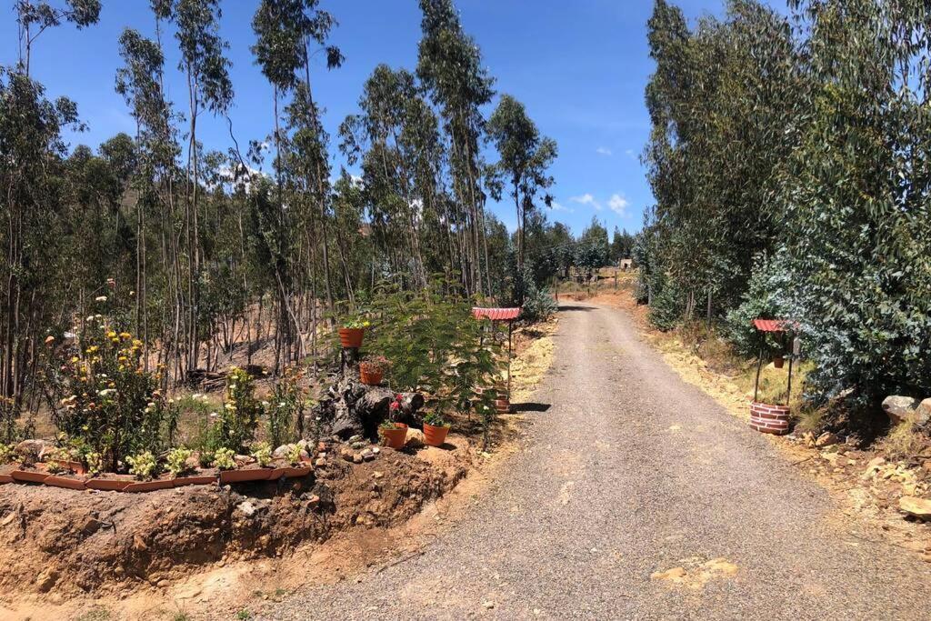 Cabana Buenavista Es Un Lugar Para Descansar. Iza Exteriör bild